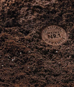 COMPO SANA Grünpflanzen- Und Palmenerde, 20 L 7 COMPO SANA Grünpflanzen- Und Palmenerde, 20 L -Gartenmöbel Store 144105 WE DE 002 COMPOSANAGruenpflanzenundPalmenerde20l