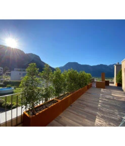 Palatino Cortenstahl-Pflanzgefäß Lotte -Gartenmöbel Store 2015279 WE MO 002 PalatinoPflanzkastenLotte100