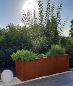 Palatino Cortenstahl-Pflanzgefäß Lotte -Gartenmöbel Store 2015279 WE MO 003 PalatinoPflanzkastenLotte100