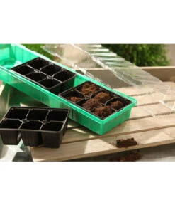 Dehner Zimmergewächshaus Frans, 54 X 15 X 12 Cm 8 Dehner Zimmergewächshaus Frans, 54 X 15 X 12 Cm -Gartenmöbel Store 207456 BildM 001 RombergZimmergewaechshausFransFensterbGewH54X15x12