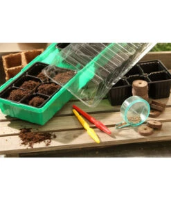 Dehner Zimmergewächshaus Frans, 54 X 15 X 12 Cm 9 Dehner Zimmergewächshaus Frans, 54 X 15 X 12 Cm -Gartenmöbel Store 207456 BildM 002 RombergZimmergewaechshausFransFensterbGewH54X15x12