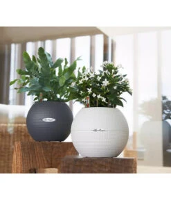 LECHUZA® PURO Color, All-in-One-Set, Rund, Ca. Ø20 Cm -Gartenmöbel Store 2418598 WE MO 003 LechuzaPuroColor20schiefergrau