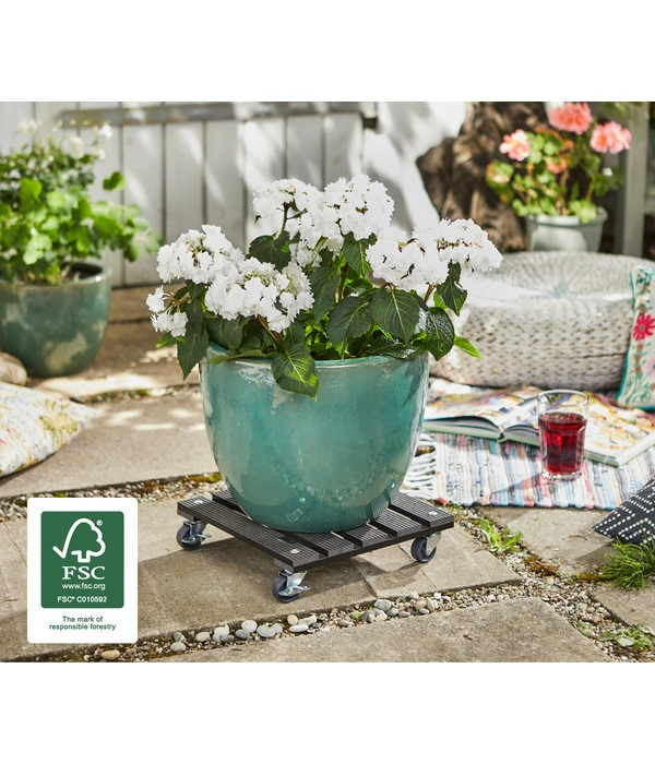 Wagner Pflanzroller, 29 X 29 Cm 4 Wagner Pflanzroller, 29 X 29 Cm – Bild 2