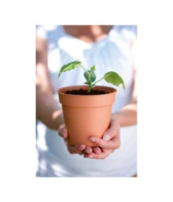 Elho Starter-Set Töpfe, 10 Stück 5 Elho Starter-Set Töpfe, 10 Stück -Gartenmöbel Store 3009693 WE MO 001 StarterSetToepfeSchwarz10StueckElho