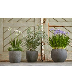 Dehner Polystone-Topf Kapstadt, Rund, Grau -Gartenmöbel Store 3207990 3208022 WE MO 002 DehnerPolystoneTopfbauchiggrau