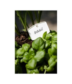 Elho Pflanz-Stift, 5 Stück 7 Elho Pflanz-Stift, 5 Stück -Gartenmöbel Store 3266806 MO FS 001 PflanzstiftMweissElhoEtikett