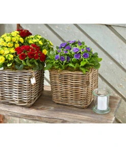 Van Der Leeden Rattan-Topf, Eckig, Grau-braun -Gartenmöbel Store 3528668 3529468 3529930 WE MO 002 RattanTopfeckiggraubraun