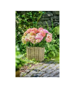Van Der Leeden Rattan-Topf, Eckig, Grau-braun -Gartenmöbel Store 3528668 3529468 3529930 WE MO 004 RattanTopfeckiggraubraunBlumentopf