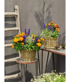 Van Der Leeden Rattan-Topf, Eckig, Grau-braun -Gartenmöbel Store 3528668 3529468 3529930 WE MO 006 RattanTopfeckig