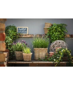 Van Der Leeden Rattan-Topf, Eckig, Grau-braun -Gartenmöbel Store 3528668 3529468 3529930 WE MO 007 RattanTopfeckig