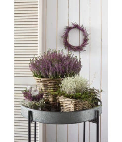 Van Der Leeden Rattan-Topf, Eckig, Grau-braun -Gartenmöbel Store 3528668 3529468 3529930 WE MO 009 RattanTopfeckig