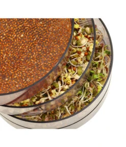 Dehner Sprossenhaus, 4 Schalen -Gartenmöbel Store 3677101 WE MO 002 DehnerSprossenhausKeimsprossen