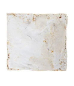 Pilzmännchen Bio Pilzzuchtset Austernpilz 7 Pilzmännchen Bio Pilzzuchtset Austernpilz -Gartenmöbel Store 3940285 BildD 002 PilzmaennchenBioHomePilzzuchtsetAusternpilzPilzbrutAusternpilzSet