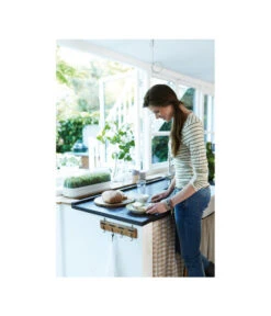 Elho Anzuchthaube L -Gartenmöbel Store 4026704 WE MO 001 AnzuchthausLTransparentElho