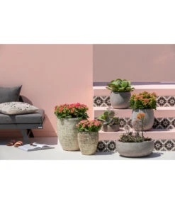 Dehner Leichtbeton-Topf Balloon Stone, Grau 17 Dehner Leichtbeton-Topf Balloon Stone, Grau -Gartenmöbel Store 4058046 4058087 4057972 WE MO 005 DehnerLeichtbetonTopfBalloon