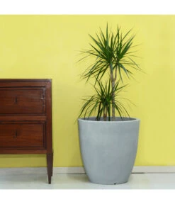 Farmet Kunststoff-Topf-Set Orione Alto, Rund, Grau, 2-teilig 10 Farmet Kunststoff-Topf-Set Orione Alto, Rund, Grau, 2-teilig -Gartenmöbel Store 4109179 WE DE 002 ORIONEALTOHoherRunderPflanzkuebelDurchmesser50cm50cmhochSTEINBEIGE