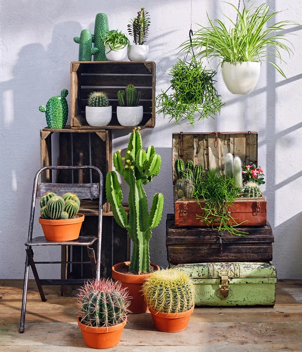 Dehner Keramik-Ampel, Konisch 6 Dehner Keramik-Ampel, Konisch – Bild 4