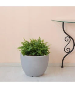 Farmet Kunststoff-Topf-Set Orione, Rund, Grau, 2-teilig -Gartenmöbel Store 4179008 WE DE 002 ORIONERunderPflanzkuebelDurchmesser50cm37cmhochSTEINBEIGE