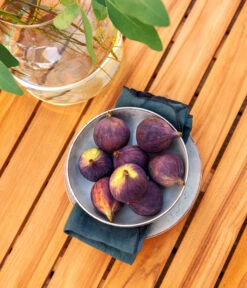 Dehner Aluminium-Lounge Malibu, 2-teilig -Gartenmöbel Store 4209870 WE DE 006 LoungeMalibuNEU