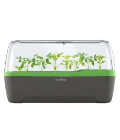 Romberg BoQube Gewächshaus -Gartenmöbel Store 4299970 WE FS 005 RombergGewaechshausZimmergewaechshausAnzucht