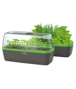 Romberg BoQube Gewächshaus -Gartenmöbel Store 4299970 WE FS 006 BoQubeGewaechshausZimmergewaechshaus