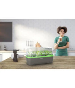 Romberg BoQube Gewächshaus -Gartenmöbel Store 4299970 WE MO 001 RombergGewaechshausZimmergewaechshausAnzucht