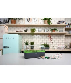 Romberg BoQube Gewächshaus -Gartenmöbel Store 4299970 WE MO 002 BoQubeGewaechshausZimmergewaechshaus