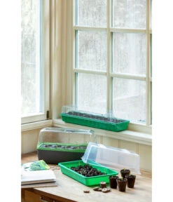 Romberg BoQube Gewächshaus -Gartenmöbel Store 4299970 WE MO 004 BoQubeZimmergewaechshaus 1