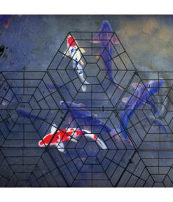 Gardigo Teichschutz 11 Gardigo Teichschutz -Gartenmöbel Store 4315362 WE MO 003 GardigoTeichschutz