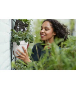 Elho Metall-Wandgitter Für Töpfe Loft Urban Green Wall Gestell, Ca. B47,3/H59/T1,5 Cm, Schwarz 36 Elho Metall-Wandgitter Für Töpfe Loft Urban Green Wall Gestell, Ca. B47,3/H59/T1,5 Cm, Schwarz -Gartenmöbel Store 4315917 4315677 WE MO 008 elhoMetallWandgitterWandhaengetopf