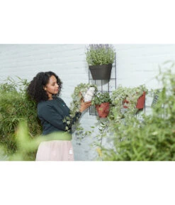 Elho Metall-Wandgitter Für Töpfe Loft Urban Green Wall Gestell, Ca. B47,3/H59/T1,5 Cm, Schwarz 24 Elho Metall-Wandgitter Für Töpfe Loft Urban Green Wall Gestell, Ca. B47,3/H59/T1,5 Cm, Schwarz -Gartenmöbel Store 4315917 WE MO 003 elhoMetallWandgitterfuerToepfeBlumentopfurbangardening