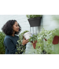 Elho Metall-Wandgitter Für Töpfe Loft Urban Green Wall Gestell, Ca. B47,3/H59/T1,5 Cm, Schwarz 25 Elho Metall-Wandgitter Für Töpfe Loft Urban Green Wall Gestell, Ca. B47,3/H59/T1,5 Cm, Schwarz -Gartenmöbel Store 4315917 WE MO 005 elhoMetallWandgitterfuerToepfeBlumentopfurbangardening