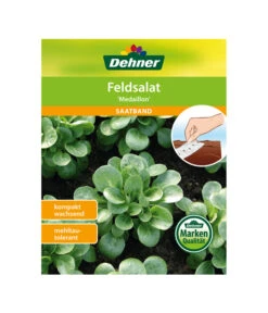 Dehner Samen-Set Easy Going -Gartenmöbel Store 4322590 WE FS 005 DehnerSamenSaatgutSaemereienSetEasyGoing