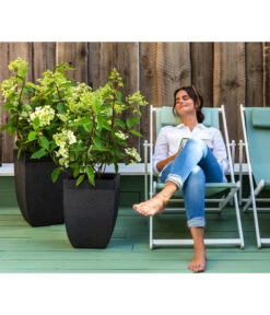 Dehner Strandstuhl Aruba -Gartenmöbel Store 4418422 WE MO 002 StrandstuhlArubaNeu