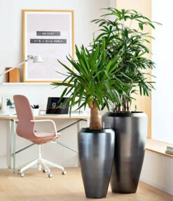 Dehner Keramik-Vase Lissabon Mit LECHUZA® Bewässerungssystem, Konisch 11 Dehner Keramik-Vase Lissabon Mit LECHUZA® Bewässerungssystem, Konisch -Gartenmöbel Store 4448833 WE MO 001 KeramikVaseLissabon