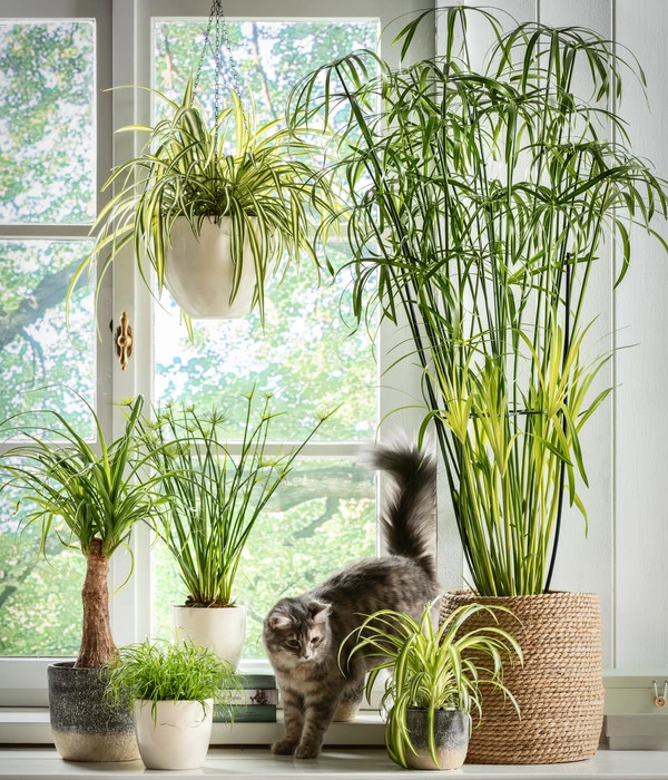 Dehner Keramik-Ampel, Konisch 5 Dehner Keramik-Ampel, Konisch – Bild 3