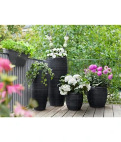 Dehner Polystone-Topf Singapur, Rund, Anthrazit 9 Dehner Polystone-Topf Singapur, Rund, Anthrazit -Gartenmöbel Store 5147558 WE MO 001 DehnerPolystoneTopfrundanthrazit