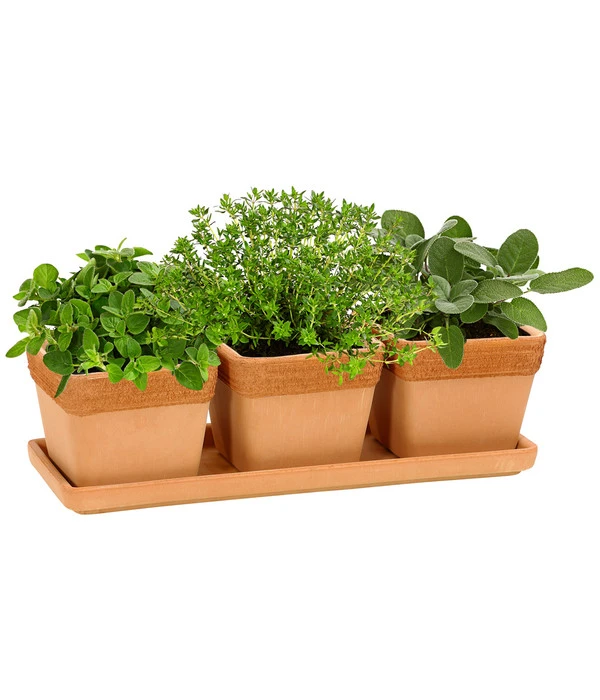 Degrea Terrakotta-Töpfchen Mit Untersetzer, Quadratisch, 3er-Set 4 Degrea Terrakotta-Töpfchen Mit Untersetzer, Quadratisch, 3er-Set – Bild 2