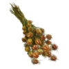 Trockenblumenbund Nigella Mit Fruchtstand -Gartenmöbel Store 6284236 PR FS 001 NigellaFruchtstandBundDehnerExpressHerzig