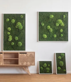 StyleGREEN Bild Aus Wald- Und Kugelmoos, Quadratisch, Ca. B35/H35/T6 Cm -Gartenmöbel Store 6429948 WE MO 001 Wald Kugelmoosbild35x35cmStylegreen