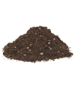 Floragard Zitrus- Und Mediterranpflanzenerde -Gartenmöbel Store 6624191 WE DE 001 FloragardZitruspflanzundMediterranpflanzenerde