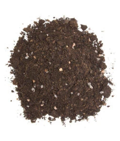 Floragard Zitrus- Und Mediterranpflanzenerde -Gartenmöbel Store 6624191 WE DE 002 FloragardZitruspflanzundMediterranpflanzenerde