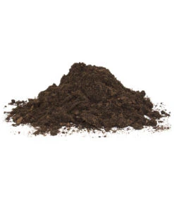 Floragard Aktiv Grünpflanzen- Und Palmenerde -Gartenmöbel Store 6624308 WE DE 001 FloragardAktivGruenpflanzenundPalmenerde