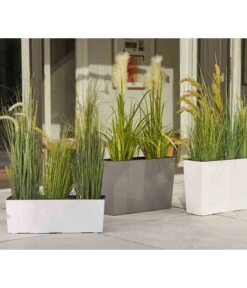 Siena Garden Kunststoff-Kasten Craon, Eckig, Grau, Ca. B56/H36,5/T19 Cm 9 Siena Garden Kunststoff-Kasten Craon, Eckig, Grau, Ca. B56/H36,5/T19 Cm -Gartenmöbel Store 6655492 WE MO 002 PflanzgefaessCraonGrau