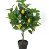 Dehner Kunstpflanze Zitronenbaum