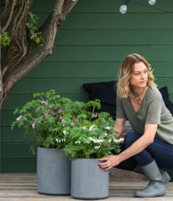 Vasar Kunststoff-Topf City, Grau -Gartenmöbel Store 6770911 6771166 6771190 WE MO 002 VasarKunststofftopfCityGrau