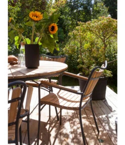 Cinas Stapelstuhl Ellen -Gartenmöbel Store 6843569 WE MO 002 EllenArmlehnstuhl