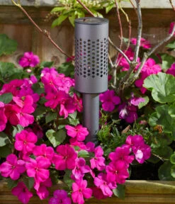 Smart Garden Solarleuchte Solstar, Ca. Ø6,2/H42 Cm -Gartenmöbel Store 6936595 WE MO 002 SmartGardenSolarleuchteSolstar365caH62cm