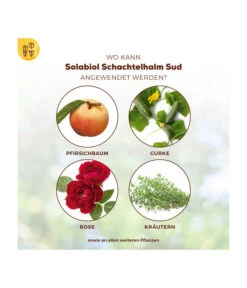 Solabiol® Schachtelhalm Sud, 1 L -Gartenmöbel Store 6938187 WE DE 003 SolabiolSchachtelhalmSud
