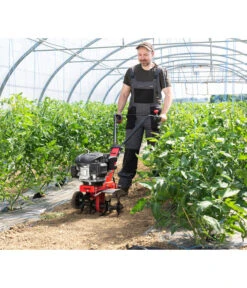 AL-KO Benzin-Motorhacke MH 360 -Gartenmöbel Store 6943237 WE MO 001 MotorhackeMH360